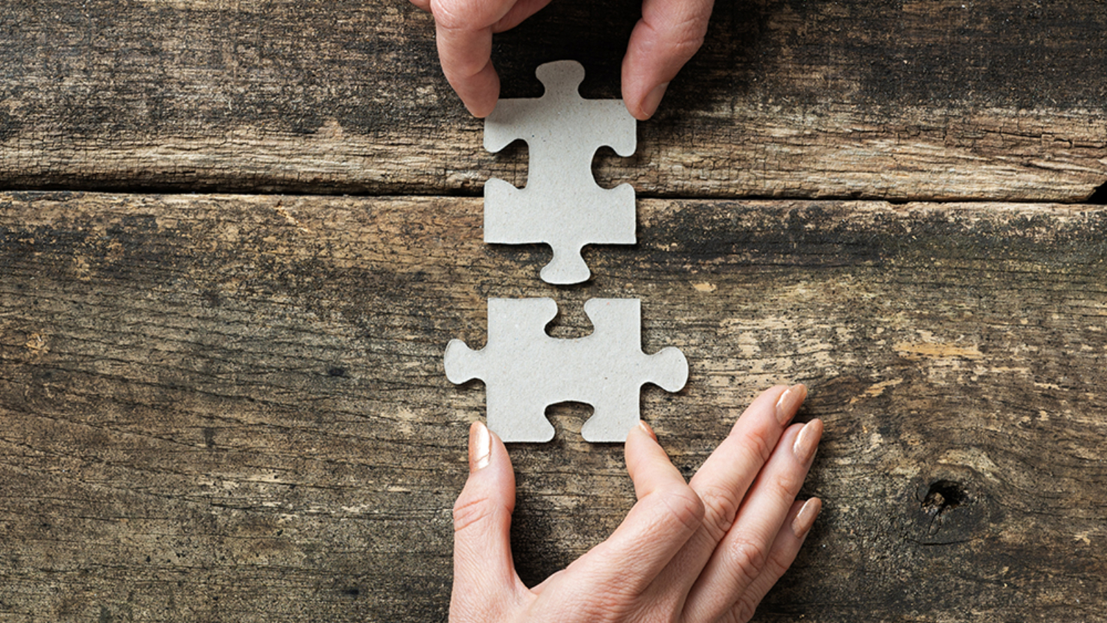 link building and seo tracking